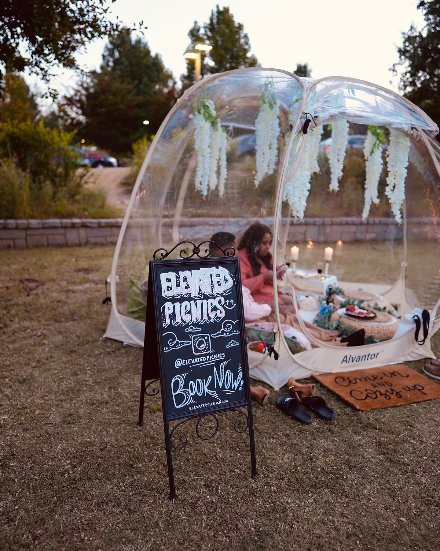 Elevated Picnics ATL experience